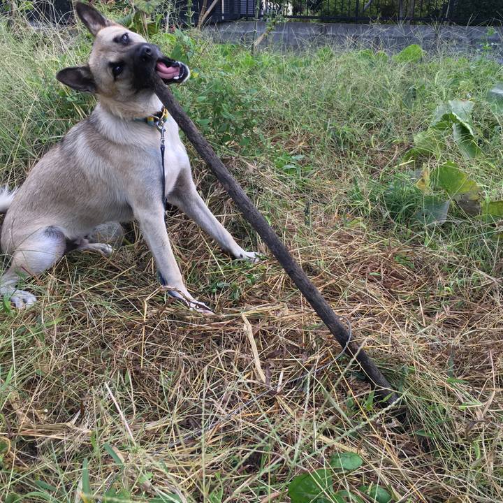 724e7618 9976 4102 acbe 12053cfef122