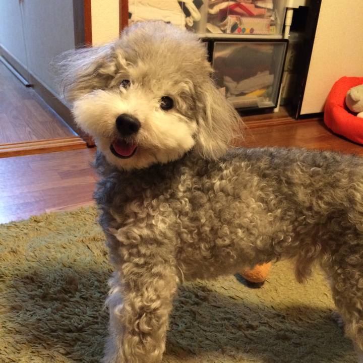 724eaced 51e9 4c7a 983d 65895bb0a5b9