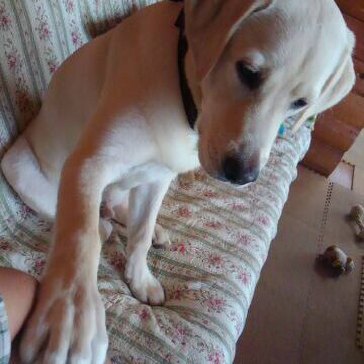 724ee2cb 64cb 4a14 9905 956f619a1304