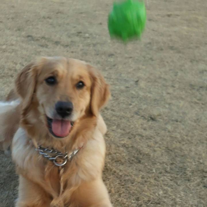 724f1811 c788 421f 8e90 ac41856db0f0