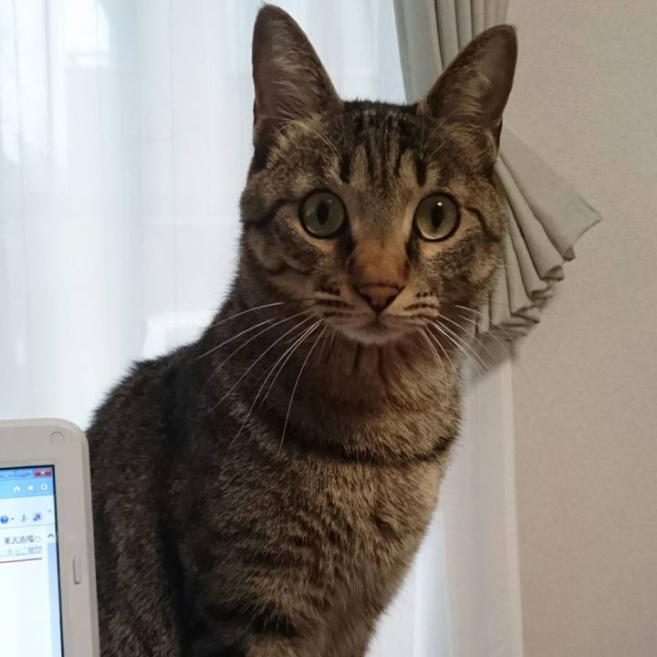 724f4109 bdce 4708 9b13 8d1531f81102