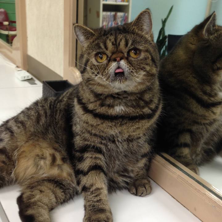 724f4dc5 49d8 411e ab7e 78b68c113d18