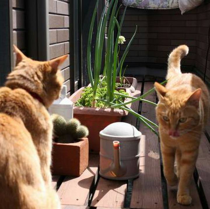 72508e83 98e3 4ab3 97e3 89fb7c4235ac