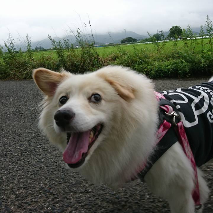 7250bb99 57fb 429a 89c5 19478725a489