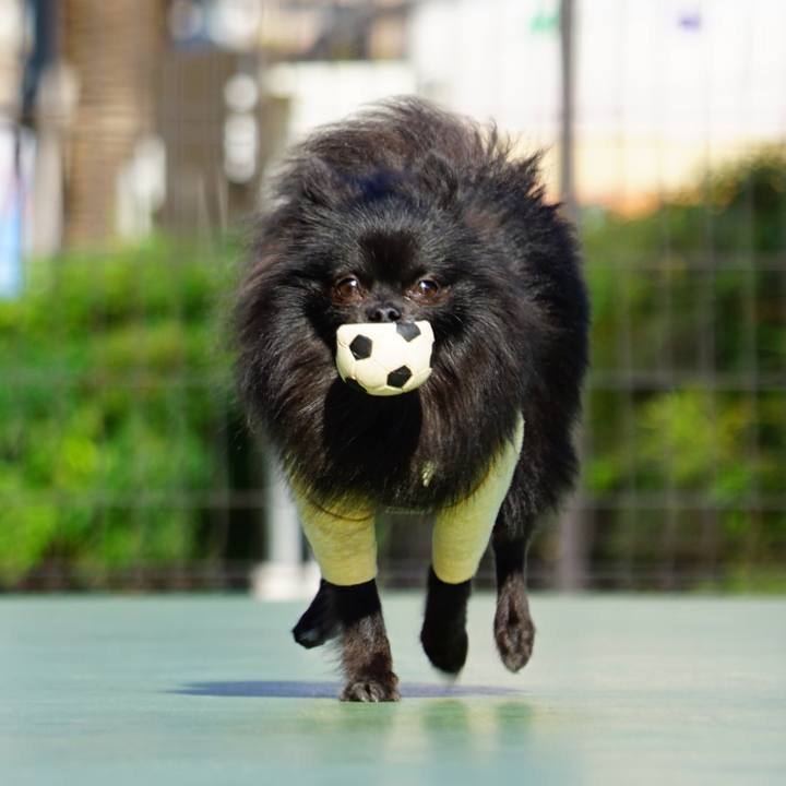 7250c232 88c6 42bc be2f de2152396eab