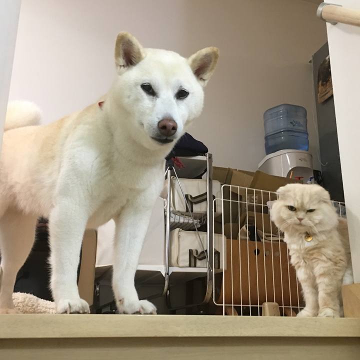 72510340 9f60 4ca6 aabe 5fdbe9b24ecd