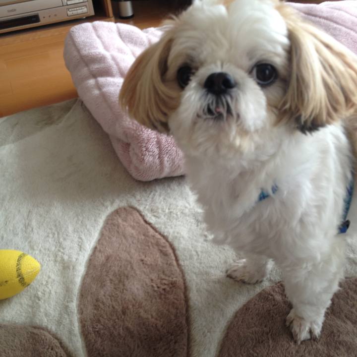 7251a2cb db34 4a4b b687 11d5d54e0051