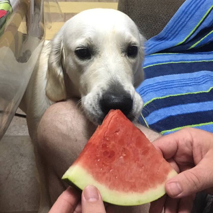 7251cbb2 a4ec 442a a7d3 ab33cb11d8cd