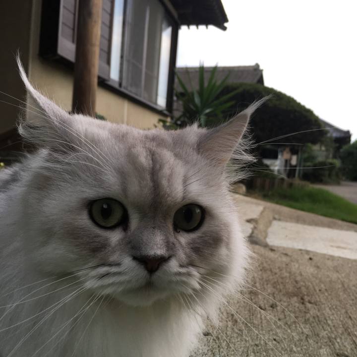 7251cd00 59a8 4dbc a2ad 3fdd0e25d26d