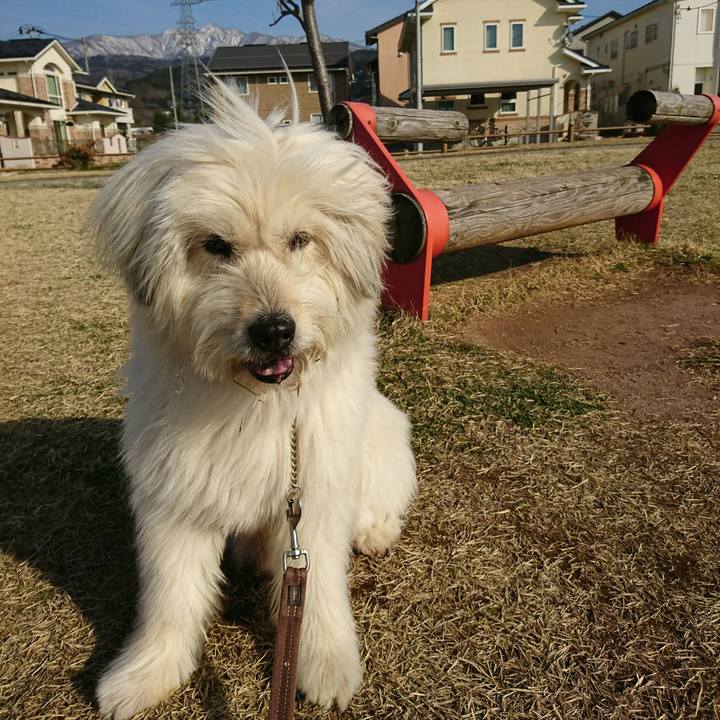 72526dac 749b 4f14 bea4 2ab3b9e05584