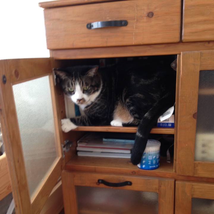 7252cd15 a221 41c9 88c0 42e90078c0d5