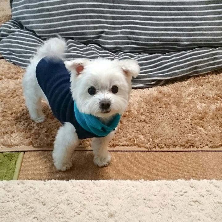 7253b4f7 0c72 4c3c 8f74 b53fe61b9824