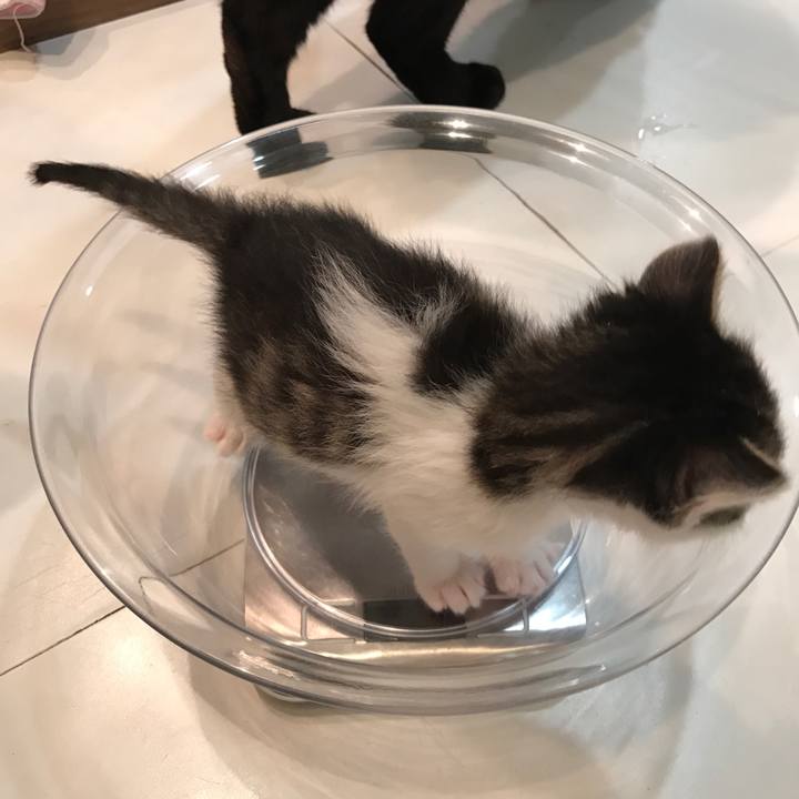 7253c829 b024 4111 8705 0f092c2ca102