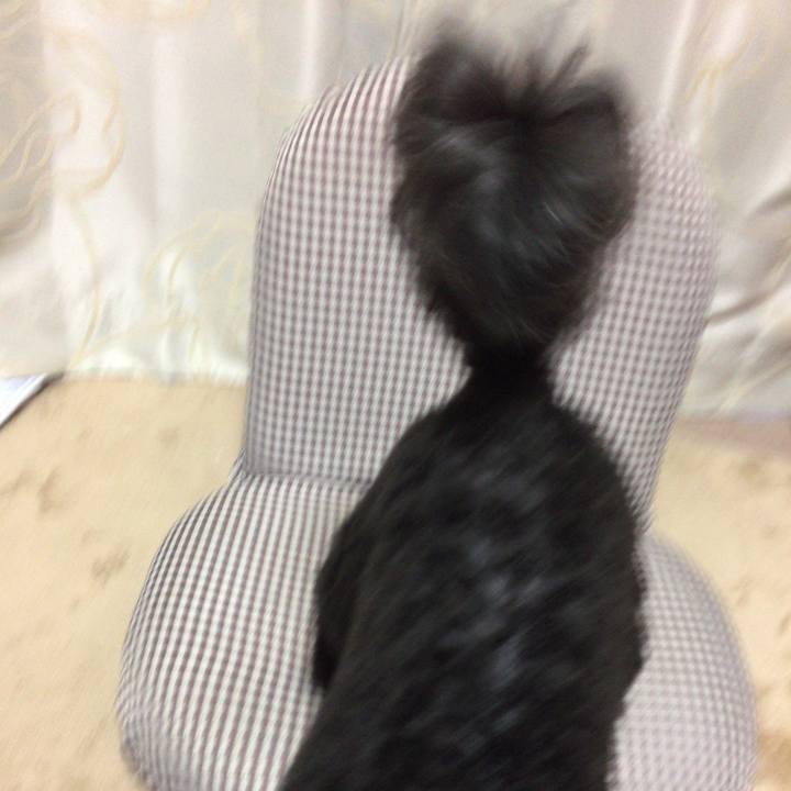 7254a01e d7e6 4c71 a42e a4822377d446