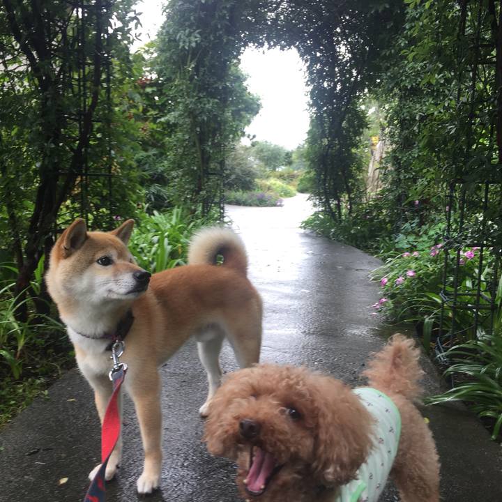 7254ac87 56ee 4def bd03 3252e779ef36