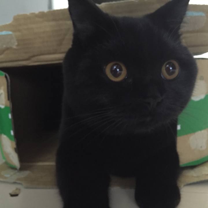 7254f121 d218 4139 b644 4af2f9a15551