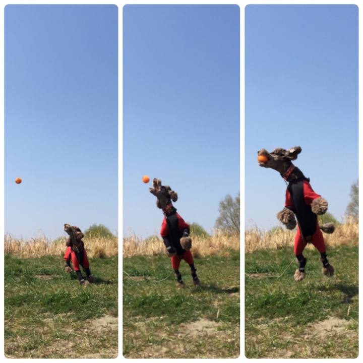 725561f4 1fd9 4911 872a 7388f750d14c