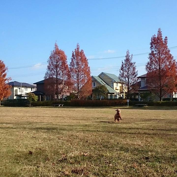 7255d340 5050 4c61 9038 0028140dc4ba