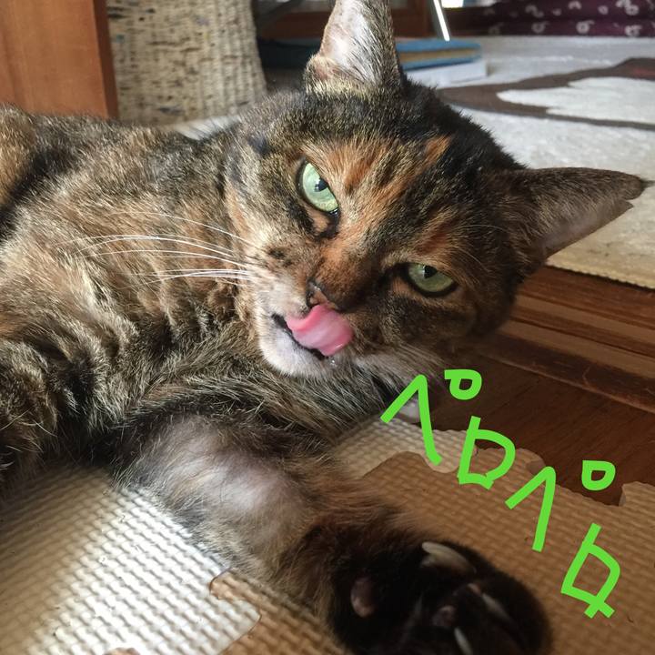 7256443a 45ad 4e78 92dd 58c72dfd1eb5