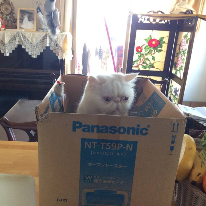 72568709 0468 4bc1 bd1a 6be76be49db7