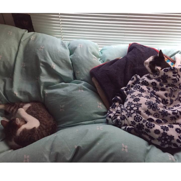 725691dd 4617 4808 a0e5 0f4cc2d005d3