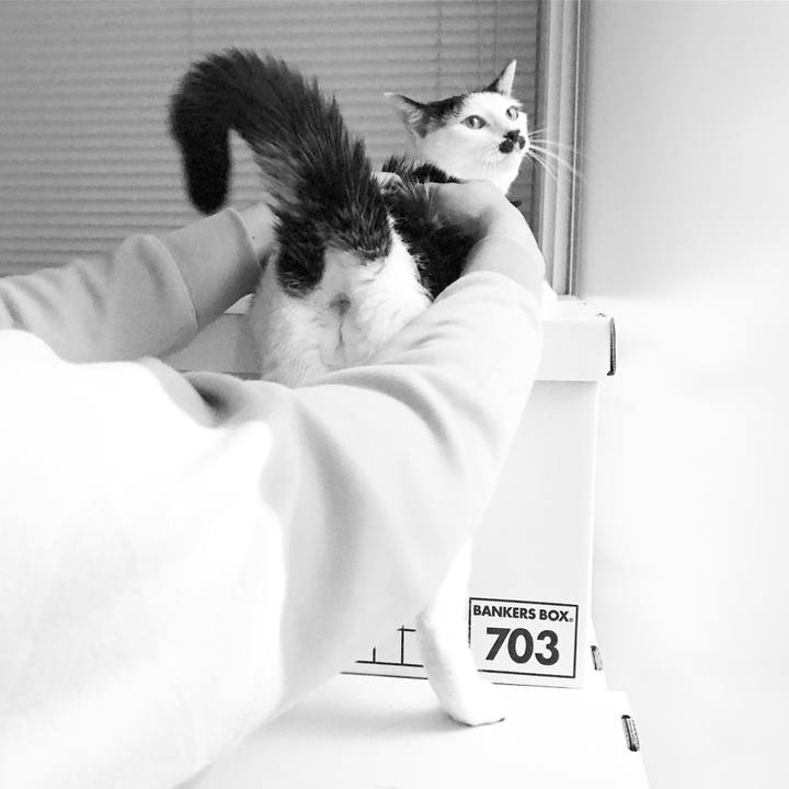 7257128e 56b5 4d46 9c28 86179b131c55