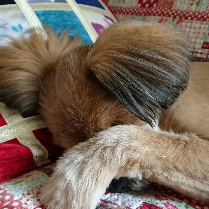 72574f72 9ad8 45f4 ab9e 234e76b8f0c9