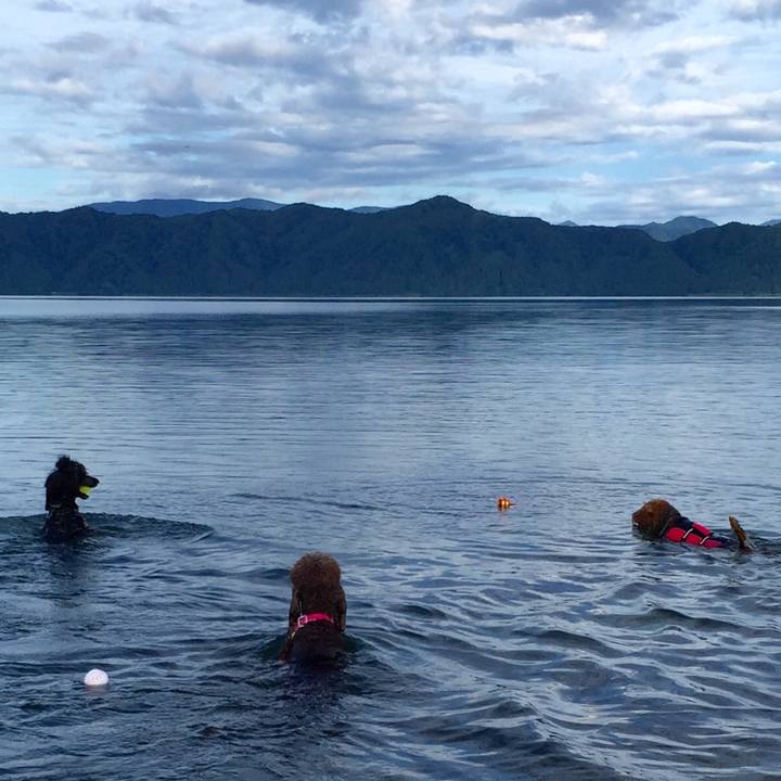 72576c46 0297 45de 8a64 74e6b5989b8e