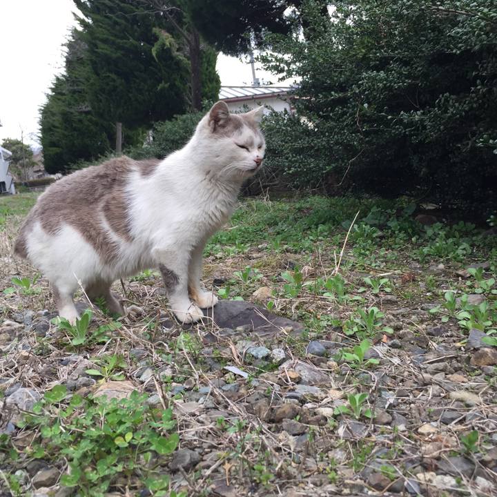 7257863e 9dbd 4988 89c4 28a50551e973