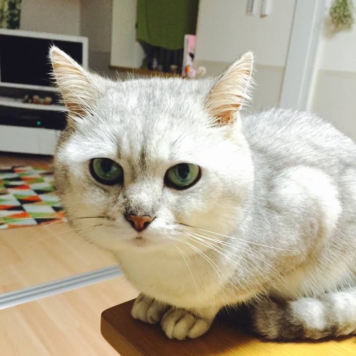 725830a1 84ad 49ec b085 446865cfe8f1