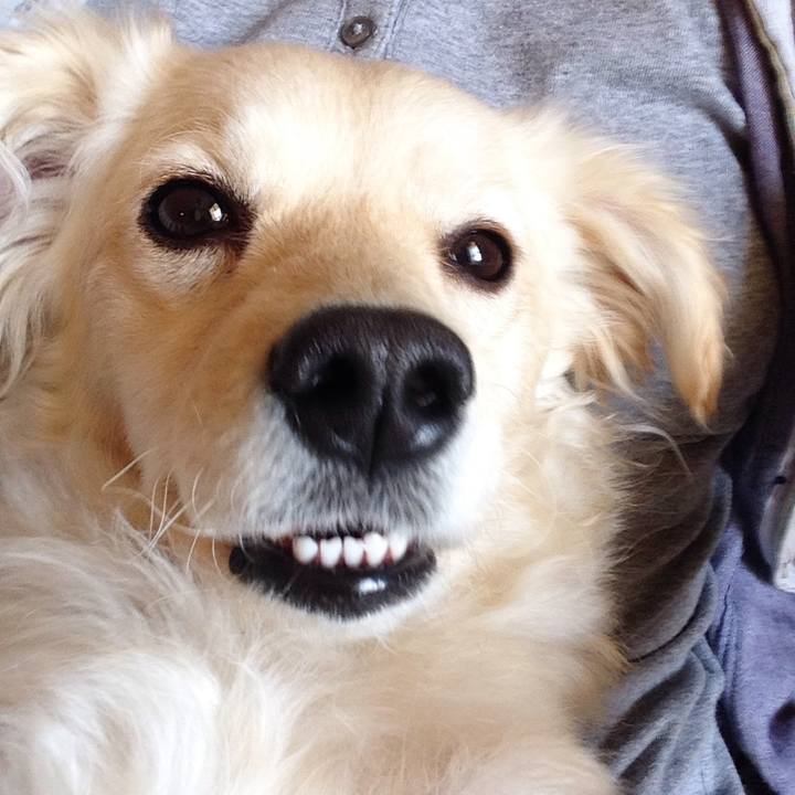 72587c8a 5334 46d9 ab40 3e1a7c5846f8