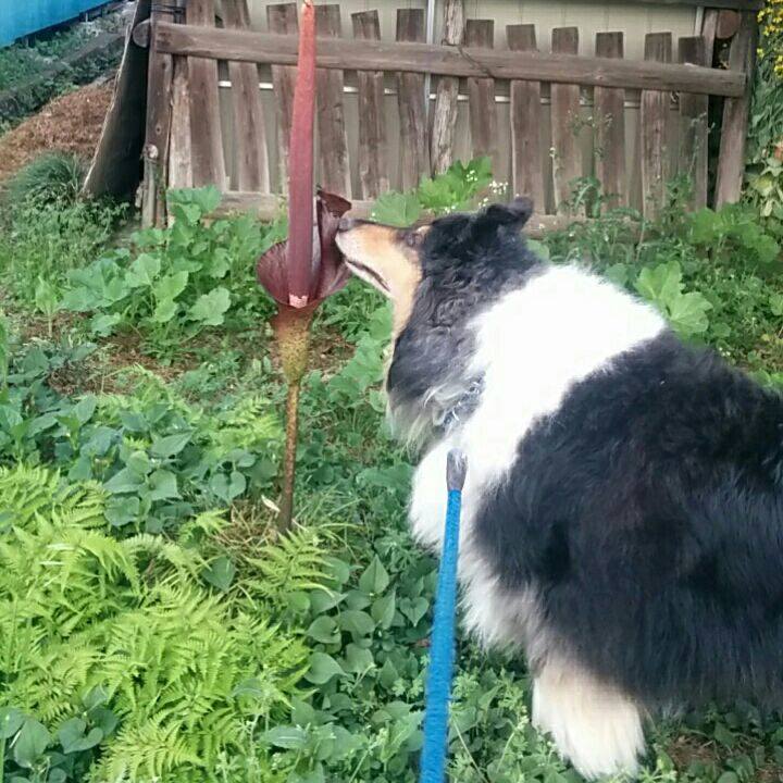 7258902d 7023 465f befe 858d098c5c14