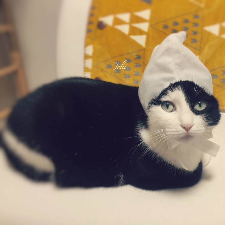 7258e6dc 5ce7 449b b85b 1c778f695b9d