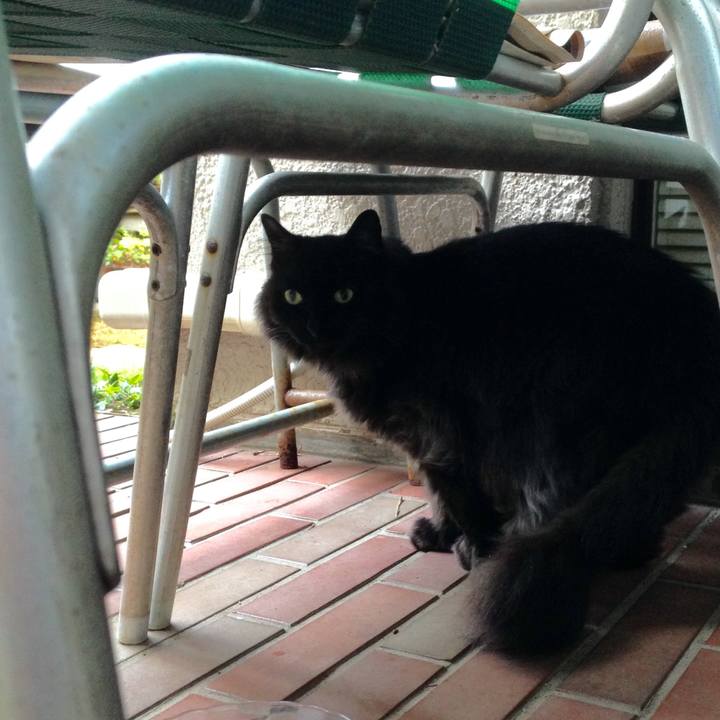 7258fd2e fbf9 42df a80e 4c83f4338cb9