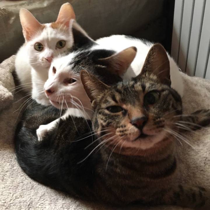 725908da 30d4 4410 881c 1220d6f1f4a7