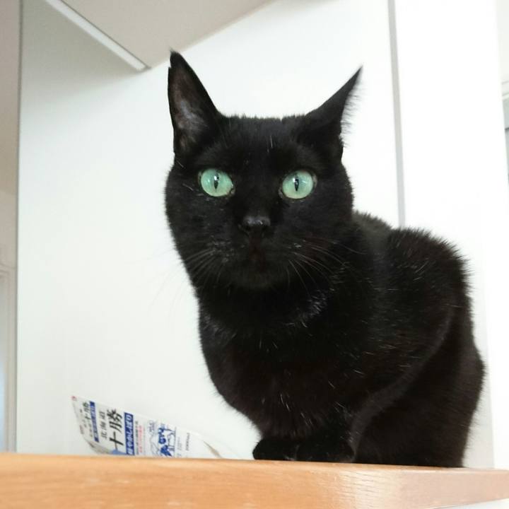 72591015 9185 4b32 be05 5b47ece9b84a