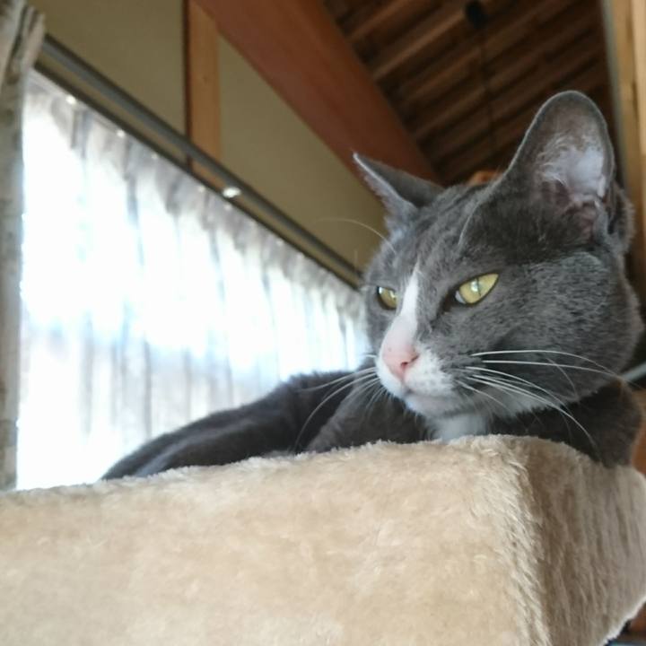 725938e8 9031 480a 9f25 f72619f02871