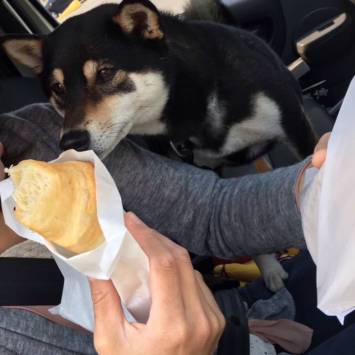 725aba9f f2d6 4f78 b16a 3e47a184a6cc