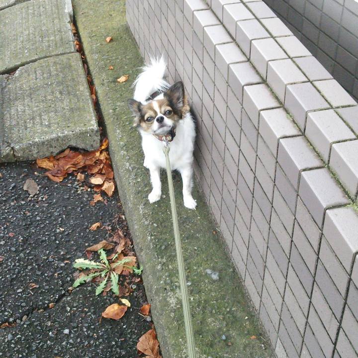 725ba40e 5a06 41ba 8fdd 336753e4de0b