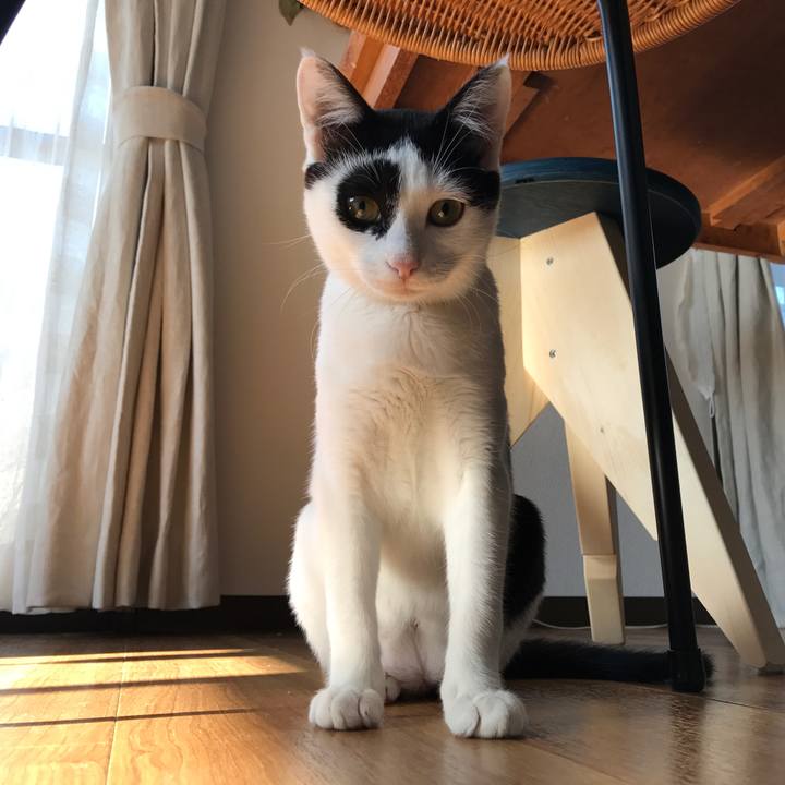 725c3722 f3a4 4176 8441 b37dc7587ffe