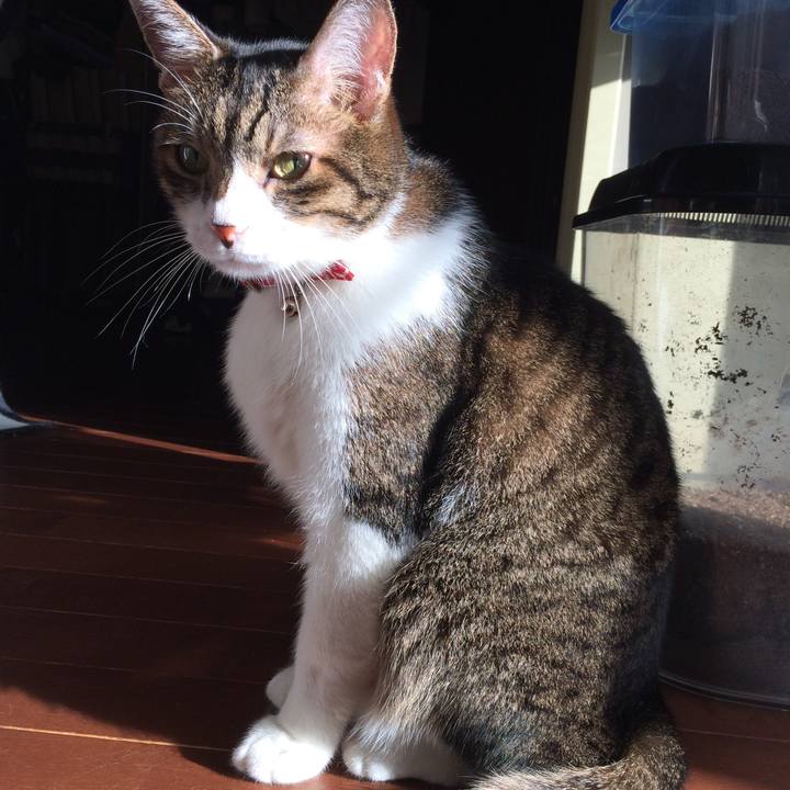 725c66ef a617 4b3d ba8e 63cc6591db8a