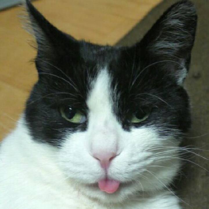 725cd1af 893f 42c9 9fb3 697fc4dd93e3