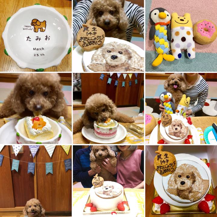 725d24ae c8df 44ea 878b 40b7a627e8e3