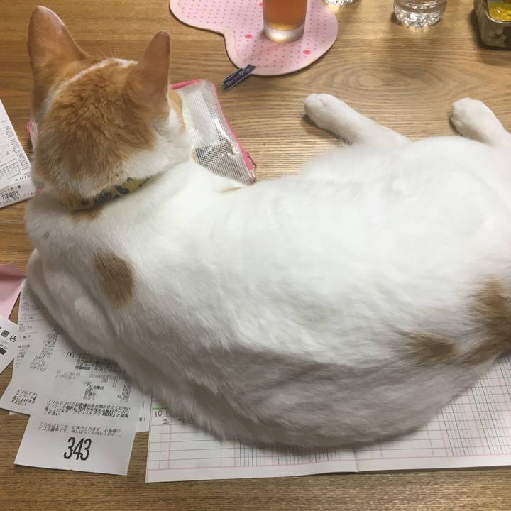 725d2aec c33e 4e47 99b0 d7626efc4c71