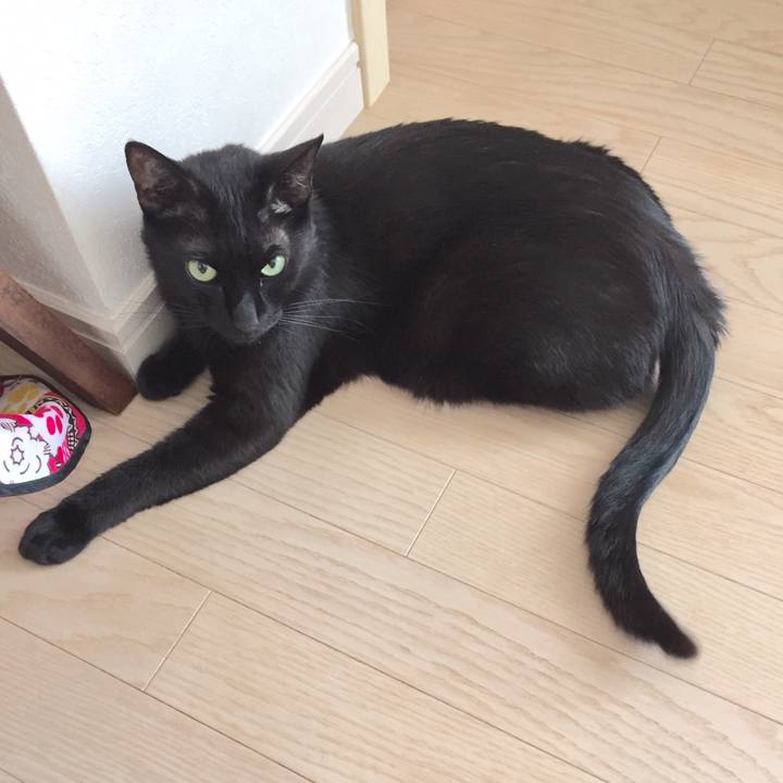 725d6795 76a2 40b9 b958 d1cd0885f6fa