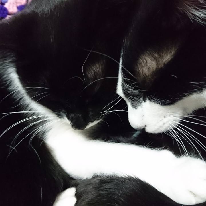 725d82cf ceee 4bbf 8791 130936921bf1