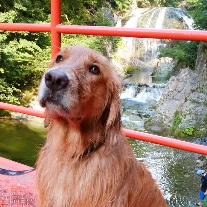 725d8ca8 a939 4119 9208 9e6c9f6ff7fb