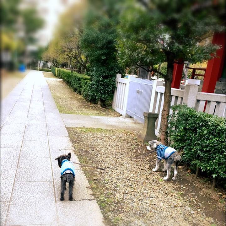 725e3ac2 8066 4866 8844 abd4980e4266