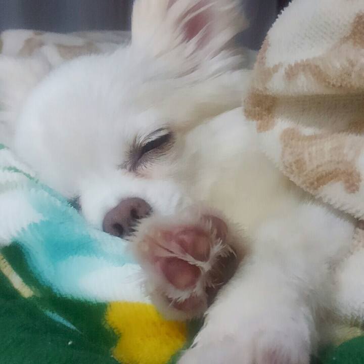 725e4805 d790 4d7c ab10 6ae1986fd326