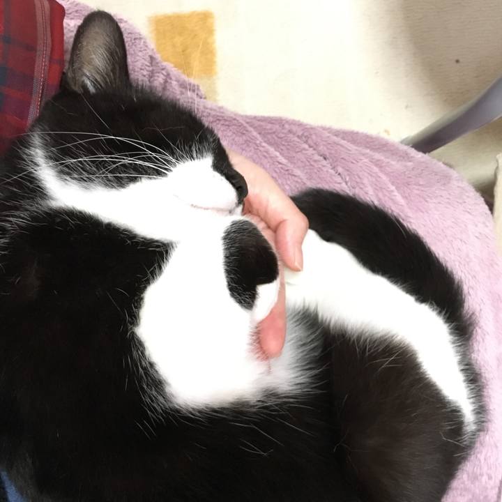 725e50a3 aeff 4226 b257 db11b71c8bb7